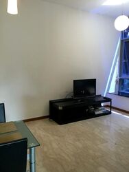 Viz At Holland (D10), Condominium #523088771